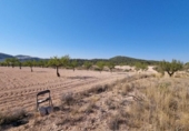 Non-developable land for sale on España, Abanilla, ref: TR112644 photo