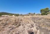 Non-developable land for sale on España, Abanilla, ref: TR112644 photo