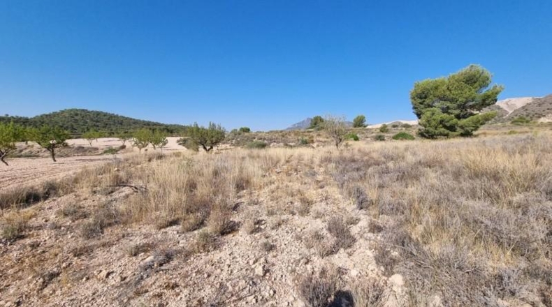 Murcia - Abanilla - 120500m2