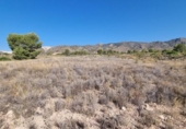 Non-developable land for sale on España, Abanilla, ref: TR112644 photo