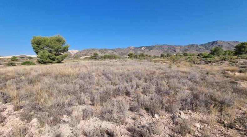 Murcia - Abanilla - 120500m2