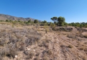 Non-developable land for sale on España, Abanilla, ref: TR112644 photo