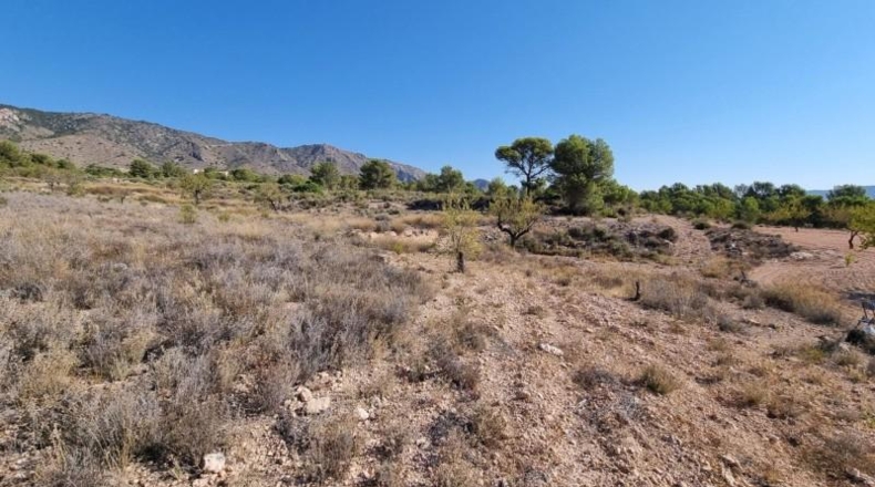 Murcia - Abanilla - 120500m2
