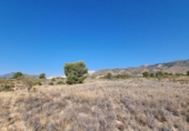 Non-developable land for sale on España, Abanilla, ref: TR112644 photo
