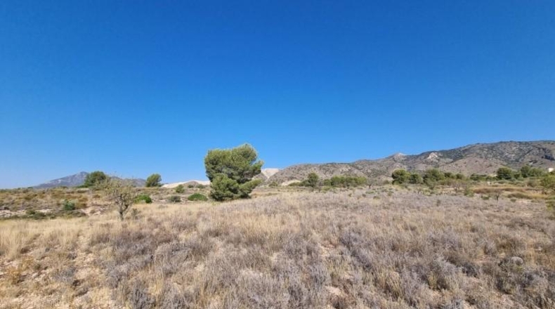 Murcia - Abanilla - 120500m2