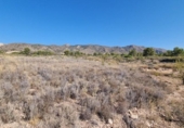 Non-developable land for sale on España, Abanilla, ref: TR112644 photo