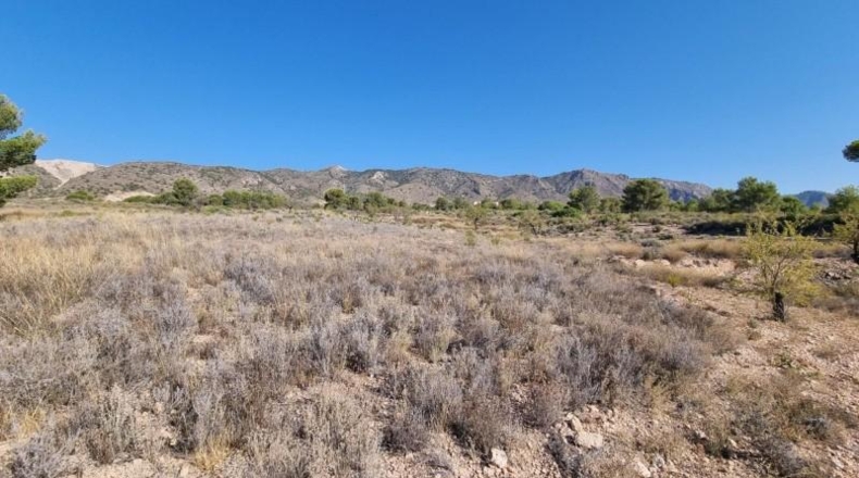 Murcia - Abanilla - 120500m2