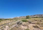 Non-developable land for sale on España, Abanilla, ref: TR112644 photo
