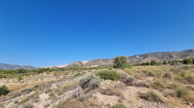 Murcia - Abanilla - 120500m2