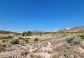 Non-developable land for sale on España, Abanilla, ref: TR112644 photo