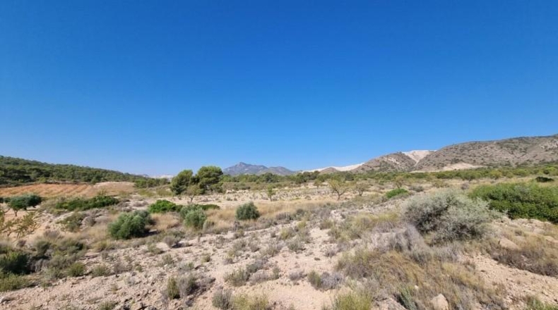 Murcia - Abanilla - 120500m2