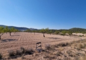Non-developable land for sale on España, Abanilla, ref: TR112644 photo
