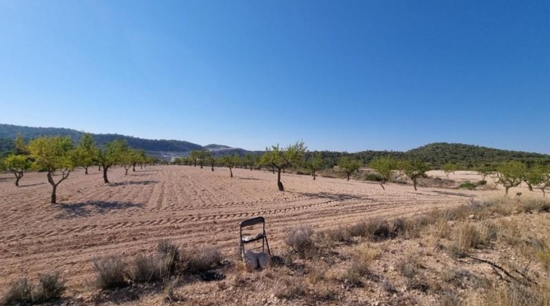 Murcia - Abanilla - 120500m2