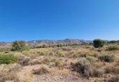 Non-developable land for sale on España, Abanilla, ref: TR112644 photo