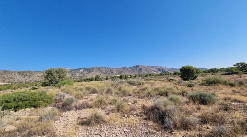 Murcia - Abanilla - 120500m2
