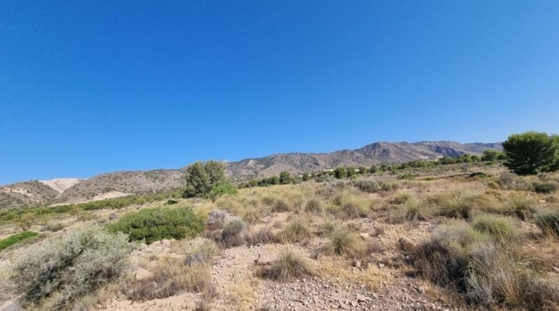 Murcia - Abanilla - 120500m2