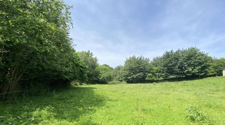 Asturias - Ribadesella - 3800m2