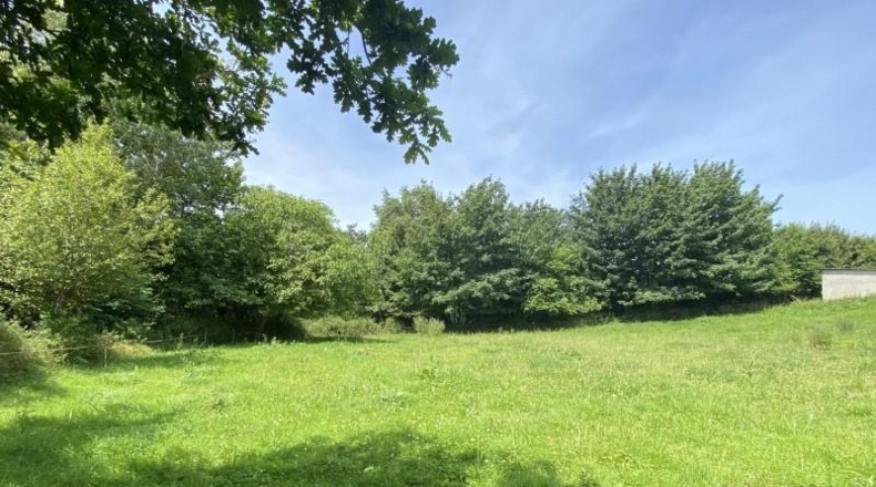 Asturias - Ribadesella - 3800m2