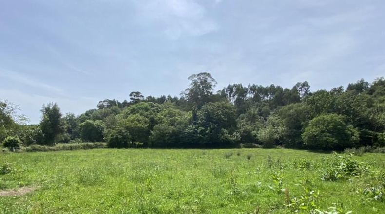 Asturias - Ribadesella - 3800m2