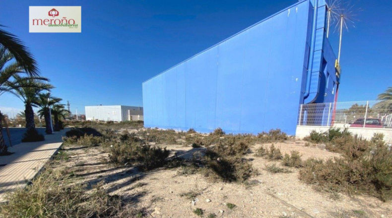 Alicante - Crevillente - 560m2