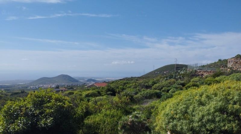 Santa Cruz de Tenerife - San Miguel de Abona - 10204m2