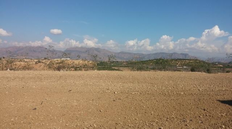 Alicante - Orihuela - 25020m2