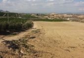 Terreny no urbanitzable en venda a la España, Oriola, ref.: TR122566 foto