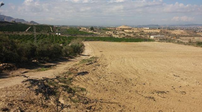 Alicante - Orihuela - 25020m2