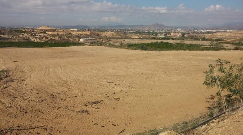 Alicante - Orihuela - 25020m2