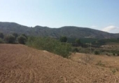 Terreny no urbanitzable en venda a la España, Oriola, ref.: TR122566 foto