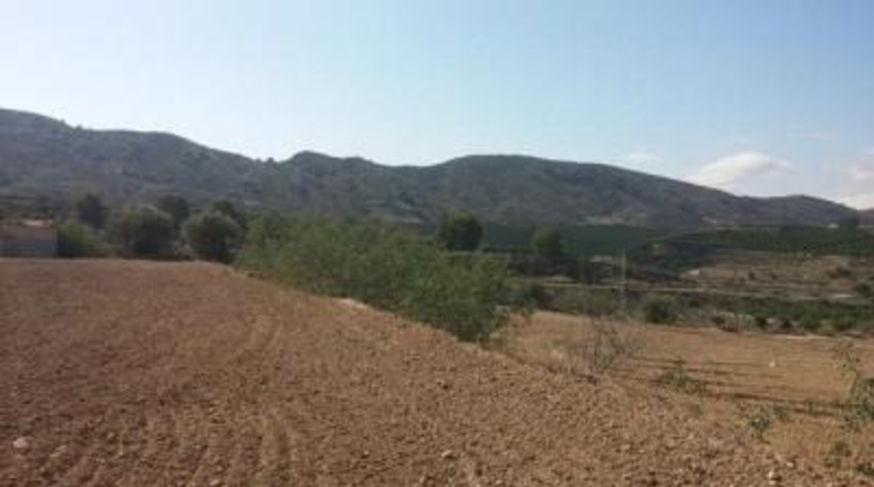Alicante - Orihuela - 25020m2