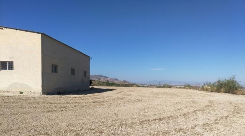 Alicante - Orihuela - 25020m2