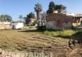 Xalet independent amb terreny en venda a la España, Borriana, ref.: TR342753 foto