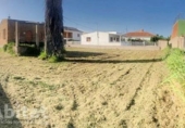 Xalet independent amb terreny en venda a la España, Borriana, ref.: TR342753 foto