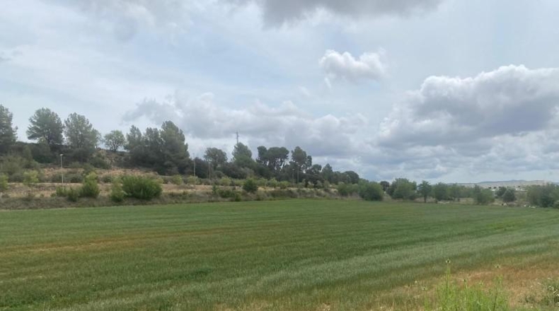 Barcelona - Vilafranca del Penedès - 273m2