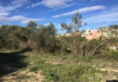 Parcela urbanizable en venta en la España, Orba, ref: TR112685 foto