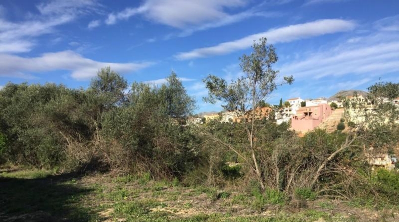 Alicante - Orba - 10000m2