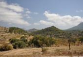 Terreny no urbanitzable en venda a la España, Benissa, ref.: TR112707 foto