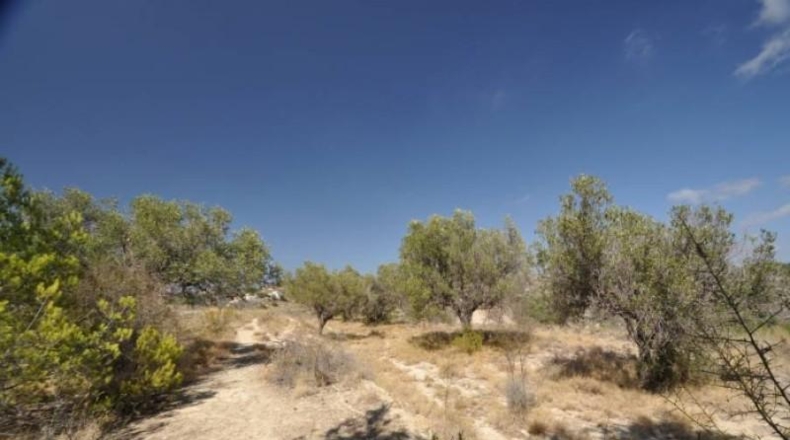 Alicante - Benisa - 12818m2