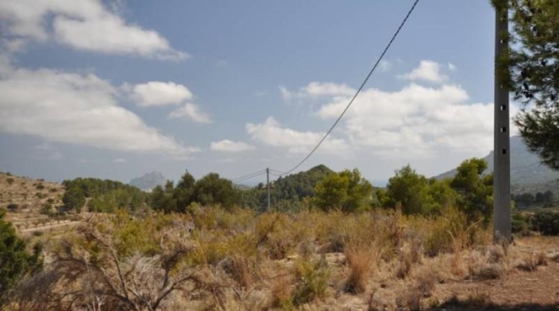 Alicante - Benisa - 12818m2