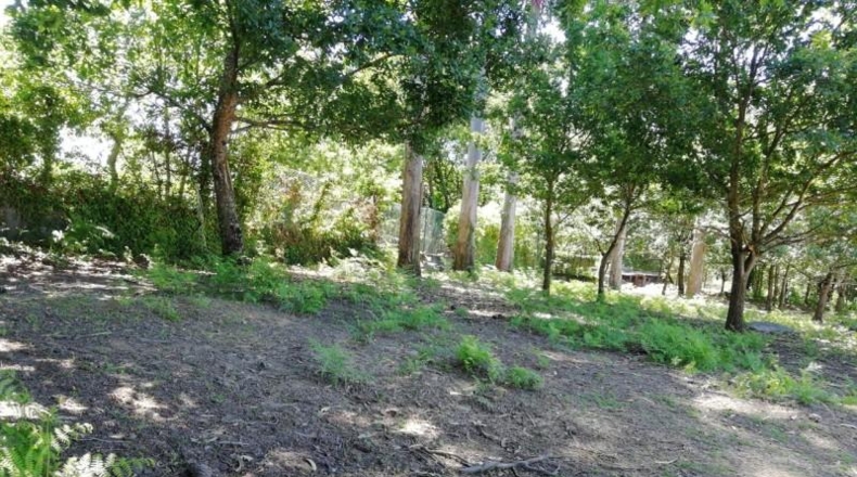 Pontevedra - Vigo - 1300m2