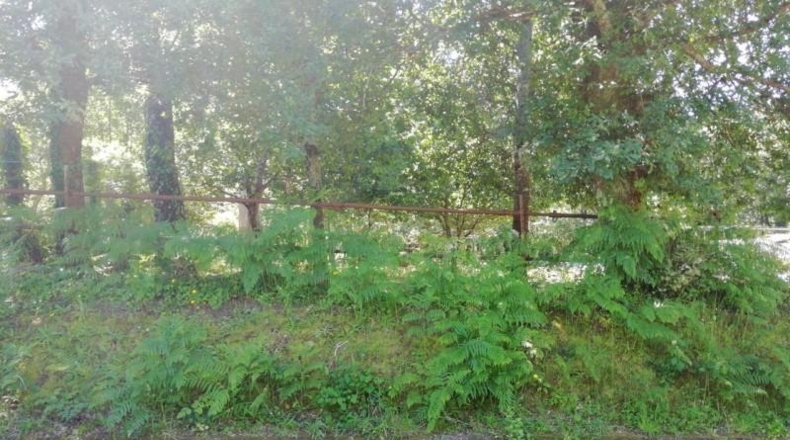 Pontevedra - Vigo - 1300m2