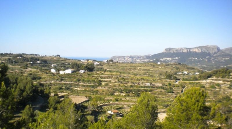 Alicante - Benisa - 14574m2