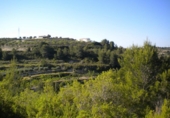 Terreny no urbanitzable en venda a la España, Benissa, ref.: TR113947 foto