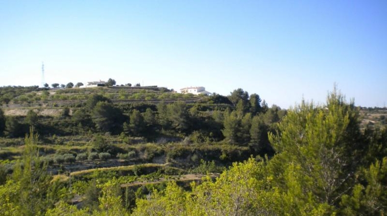 Alicante - Benisa - 14574m2