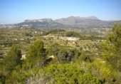 Terreny no urbanitzable en venda a la España, Benissa, ref.: TR113947 foto