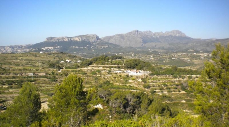 Alicante - Benisa - 14574m2