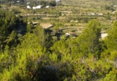 Terreny no urbanitzable en venda a la España, Benissa, ref.: TR113947 foto