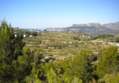 Terreny no urbanitzable en venda a la España, Benissa, ref.: TR113947 foto
