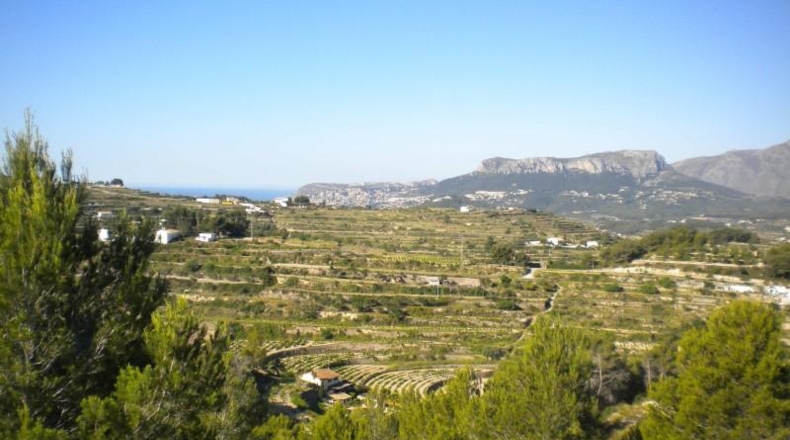 Alicante - Benisa - 14574m2